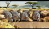 ROLLIN' SAFARI - four official Trailers ITFS 2013 and fmx 2013